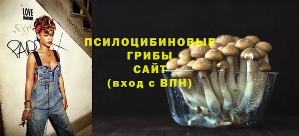 spice Гусев
