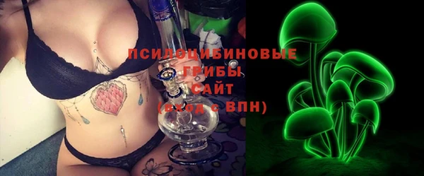 дживик Гусиноозёрск