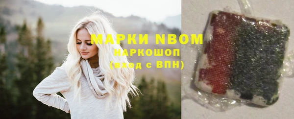 spice Гусев