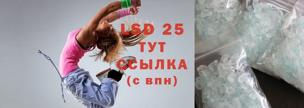 spice Гусев