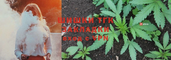 spice Гусев