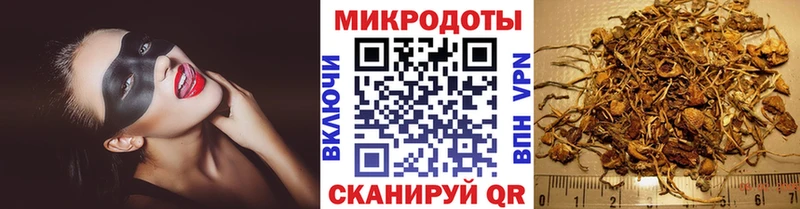 Галлюциногенные грибы прущие грибы blacksprut Зерноград
