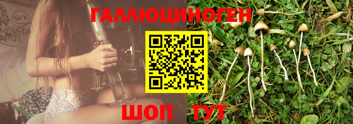 Зерноград  Галлюциногенные грибы Cubensis  Вход с VPN 