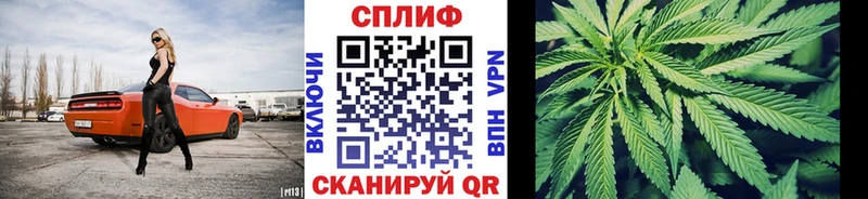 Бошки Шишки семена купить наркотик Зерноград